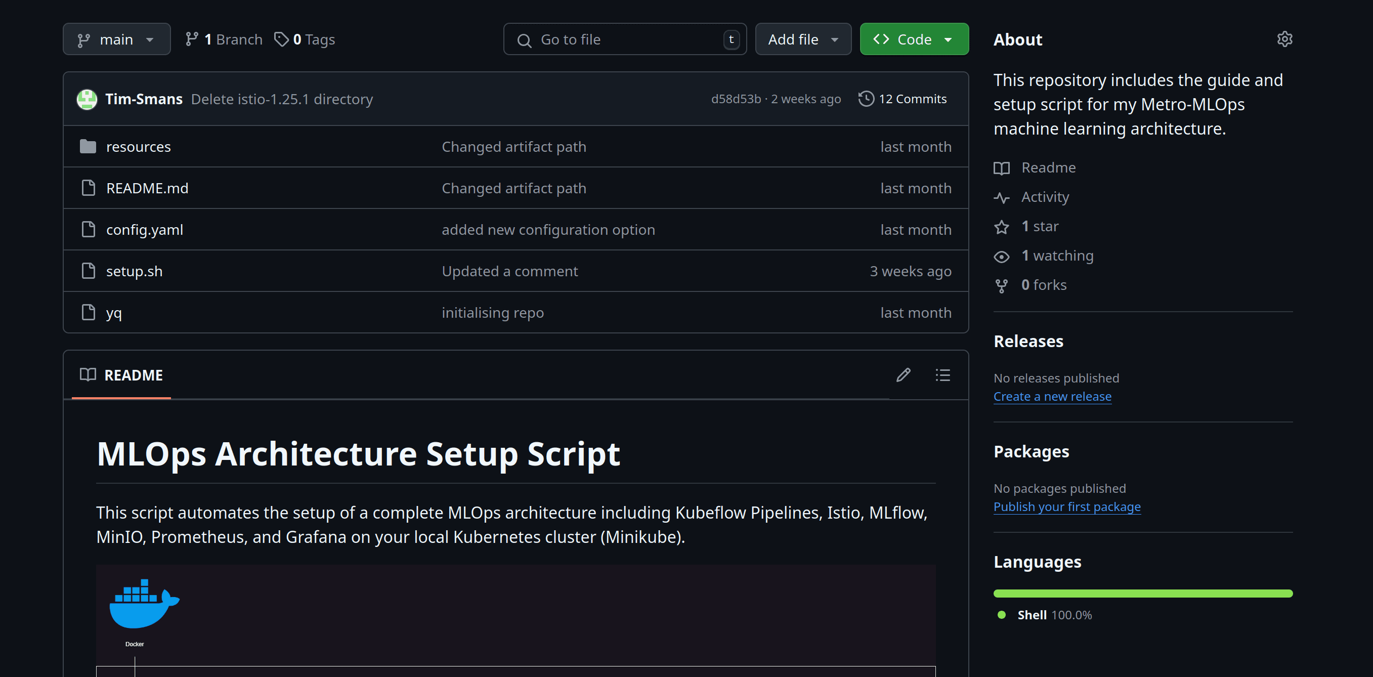 Metro-MLOps Platform